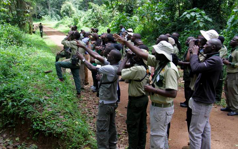 Trip guiding in Uganda