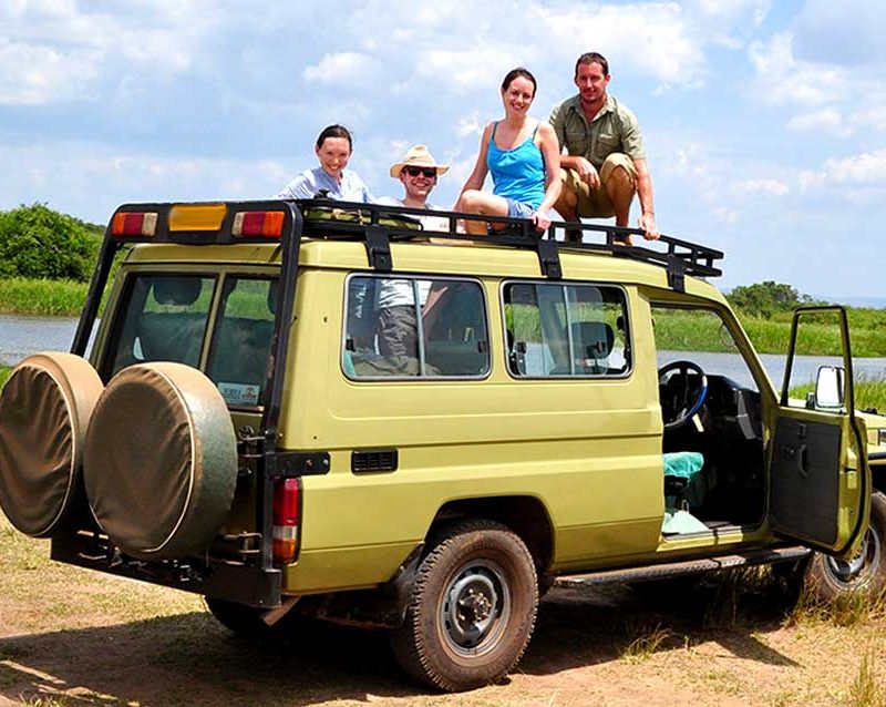 11-days-best-of-uganda-gorillas-chimps-wildlife-safari